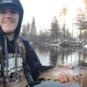 Meet your Posher, Riley